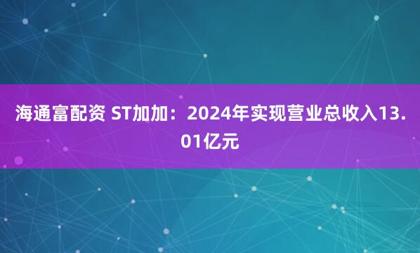 海通富配资 ST加加：2024年实现营业总收入13.01亿元