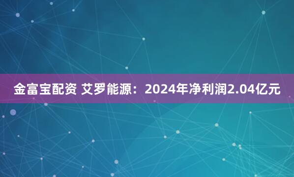 金富宝配资 艾罗能源：2024年净利润2.04亿元