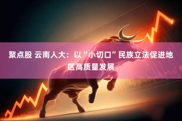 聚点股 云南人大：以“小切口”民族立法促进地区高质量发展