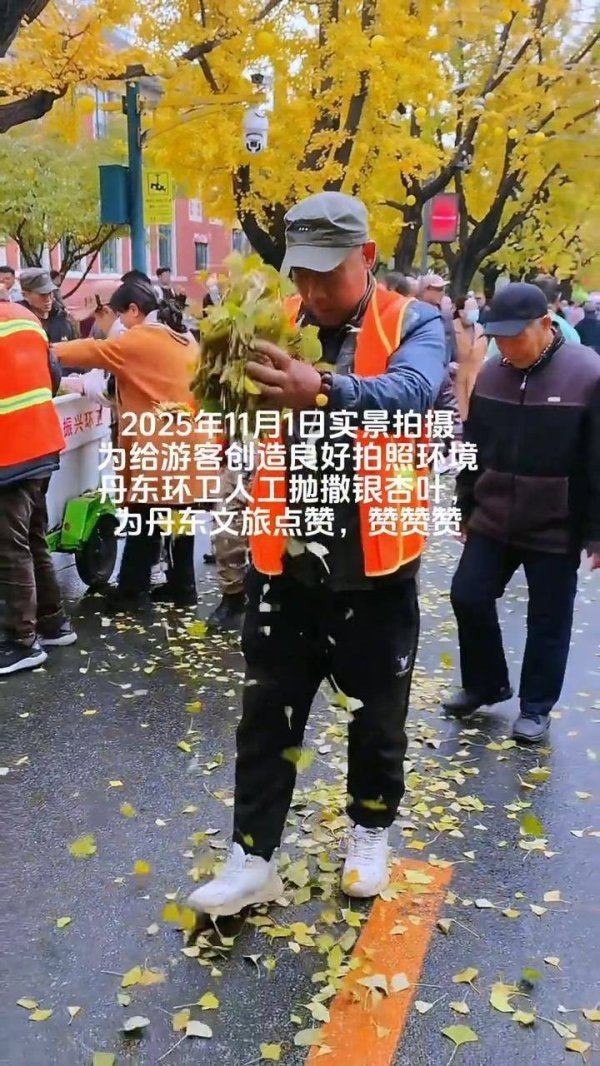 牛股动力 辽宁丹东银杏大道有环卫工人手动抛撒落叶？文旅局：路面落叶较少，从别处收集银杏叶创造良好拍照环境